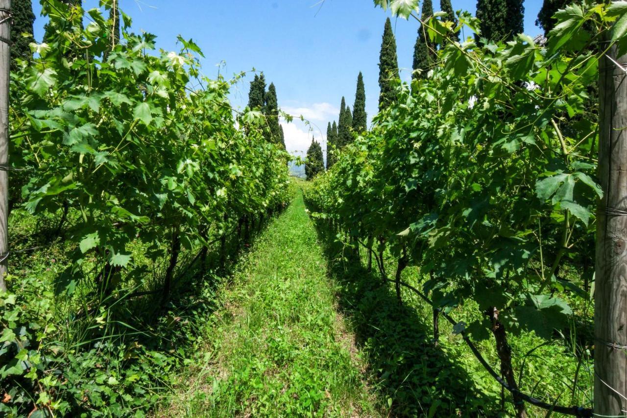 Villa Betteloni Valpolicella Suites San Pietro in Cariano Buitenkant foto