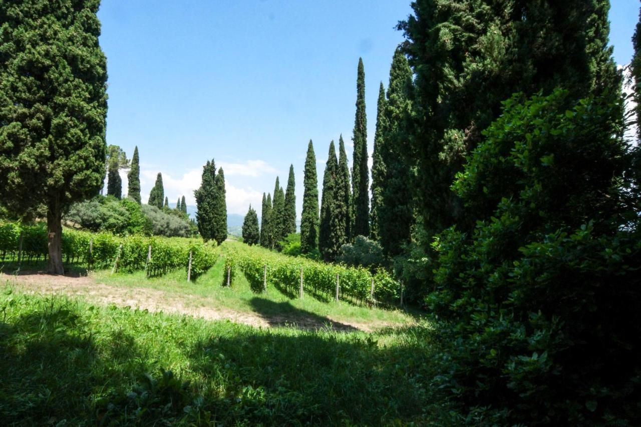 Villa Betteloni Valpolicella Suites San Pietro in Cariano Buitenkant foto