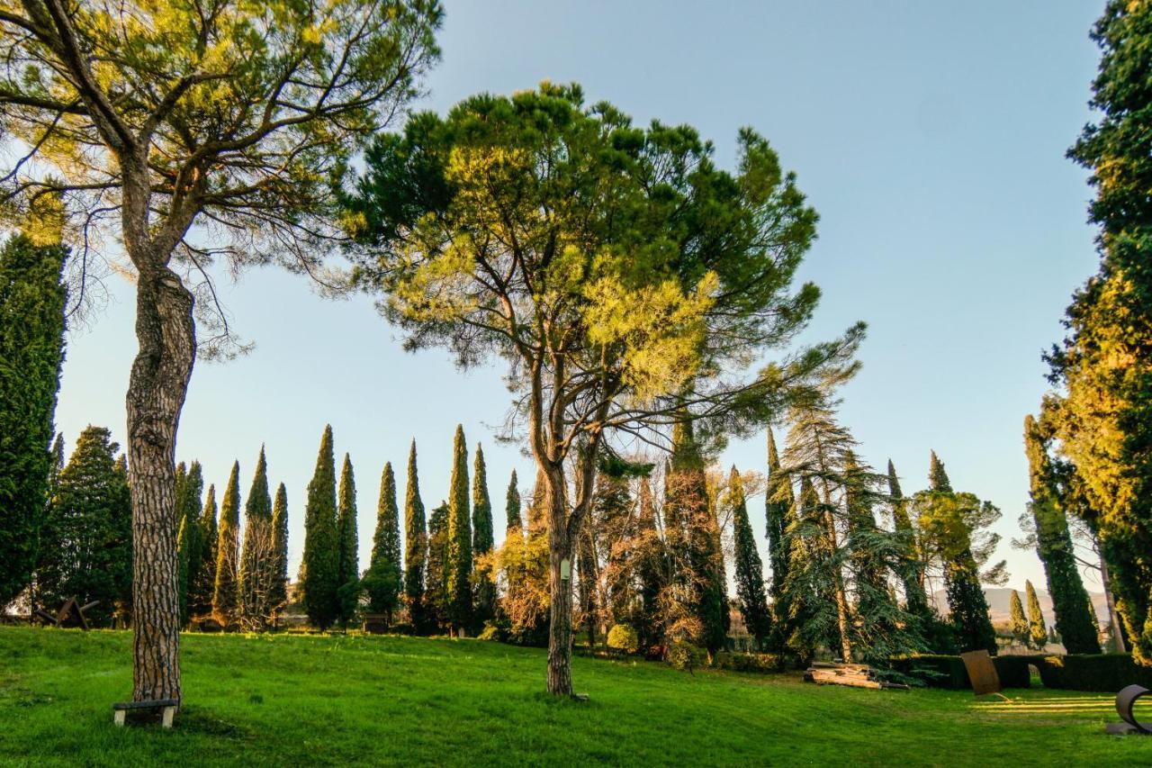 Villa Betteloni Valpolicella Suites San Pietro in Cariano Kamer foto